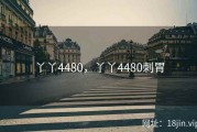 丫丫4480，丫丫4480刺胃