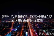 黑料不打真相特辑：探究网络名人跌宕人生背后的阴谋故事
