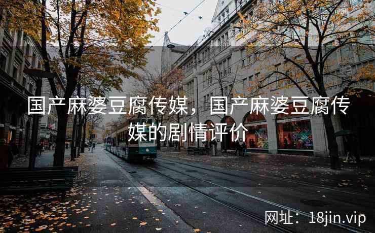 国产麻婆豆腐传媒，国产麻婆豆腐传媒的剧情评价