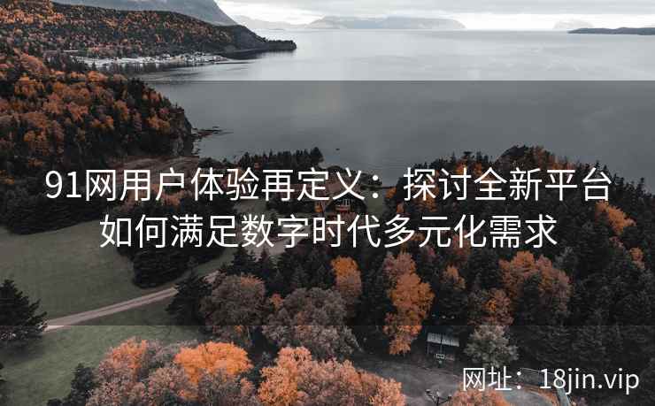 91网用户体验再定义：探讨全新平台如何满足数字时代多元化需求