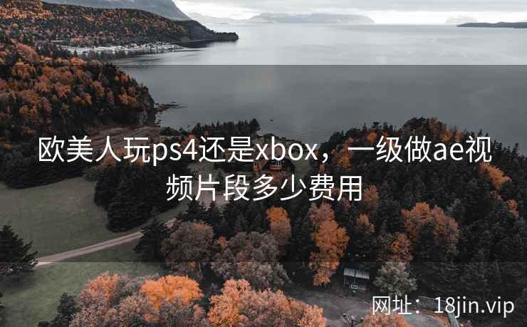 欧美人玩ps4还是xbox，一级做ae视频片段多少费用