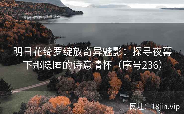 明日花绮罗绽放奇异魅影：探寻夜幕下那隐匿的诗意情怀（序号236）