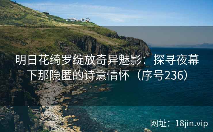 明日花绮罗绽放奇异魅影：探寻夜幕下那隐匿的诗意情怀（序号236）